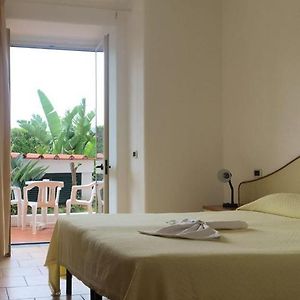 Double Room Garden View